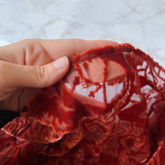 JOHNNY WAS 4 Love and Liberty Rust Velvet Burnout Sheer Silk Top Paisley Boho XS - Picture 6 of 6